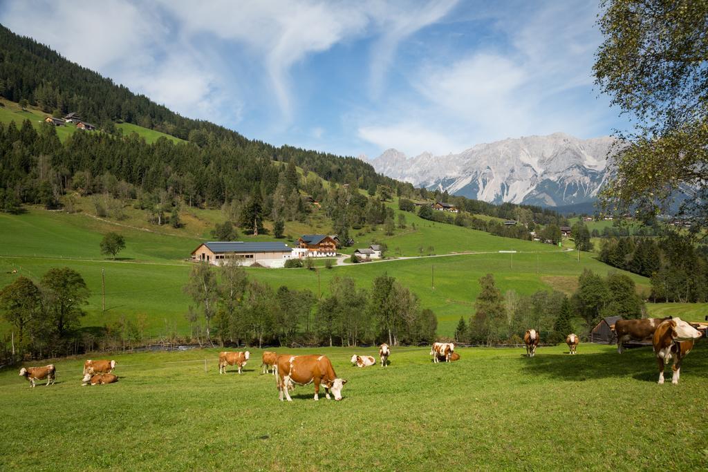 Villa Rojerhof Schladming Exterior foto